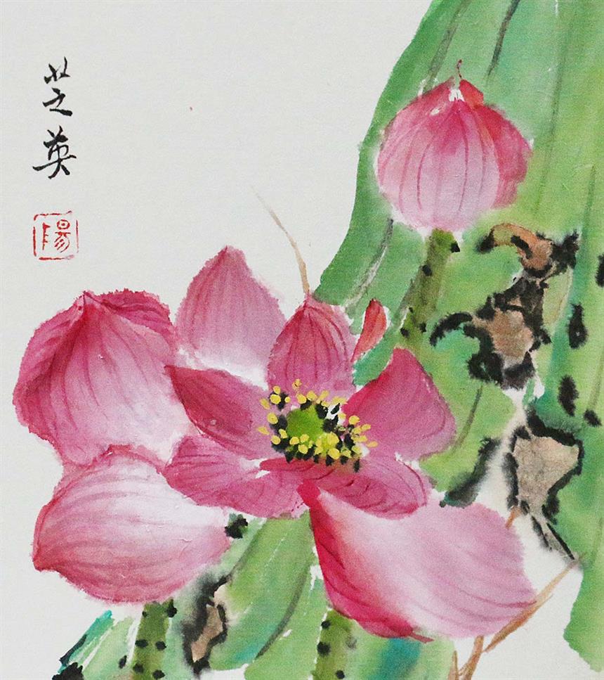 荷花-13.5X12 cm